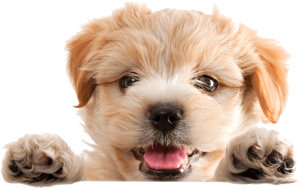 iStock 176164794