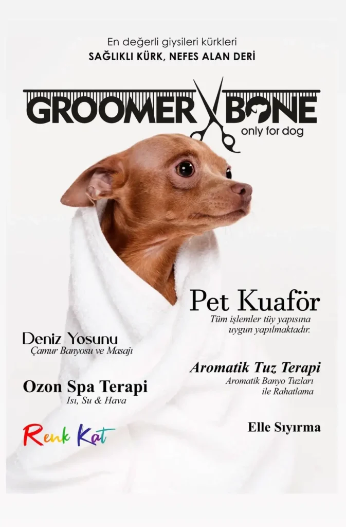 Anasayfa 4 groomer bone kampanya