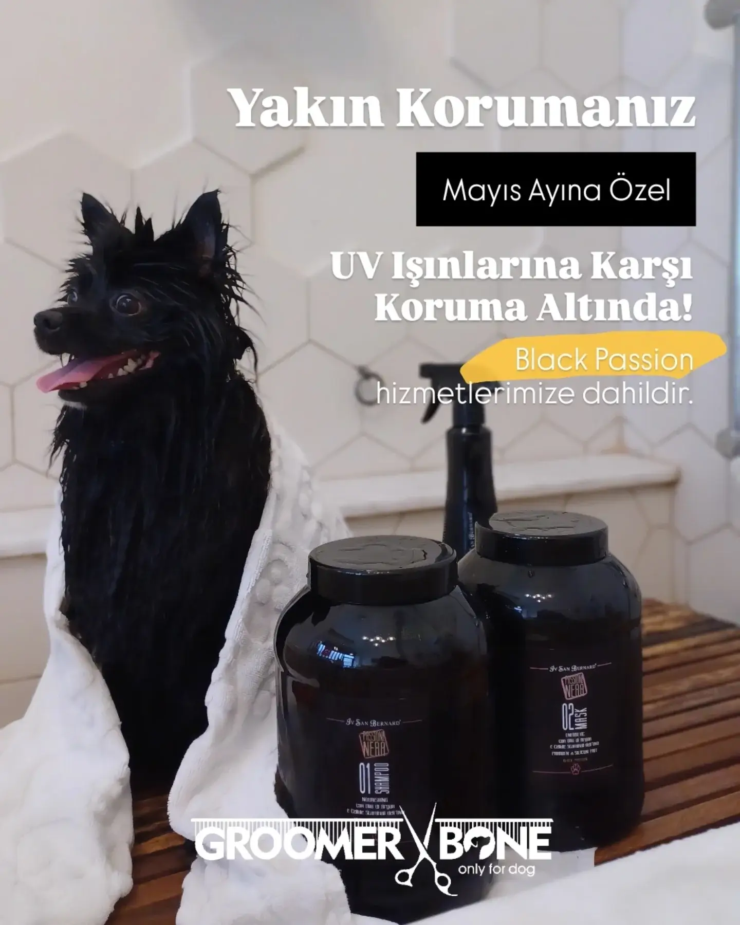 Anasayfa 8 Groomer Bone Köpek Bakım